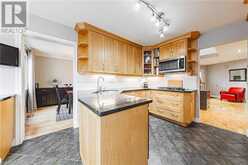 145 DRAGOON Drive Hamilton