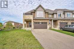 17 PINOT Crescent Hamilton