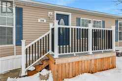 3033 TOWNLINE Road Unit# 386 Stevensville