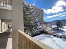 350 QUIGLEY Road Unit# 223 Hamilton