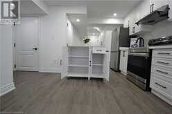 151 ELMORE Drive Unit# Basement Hamilton