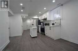 151 ELMORE Drive Unit# Basement Hamilton