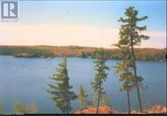 3351 MILLER Island French River