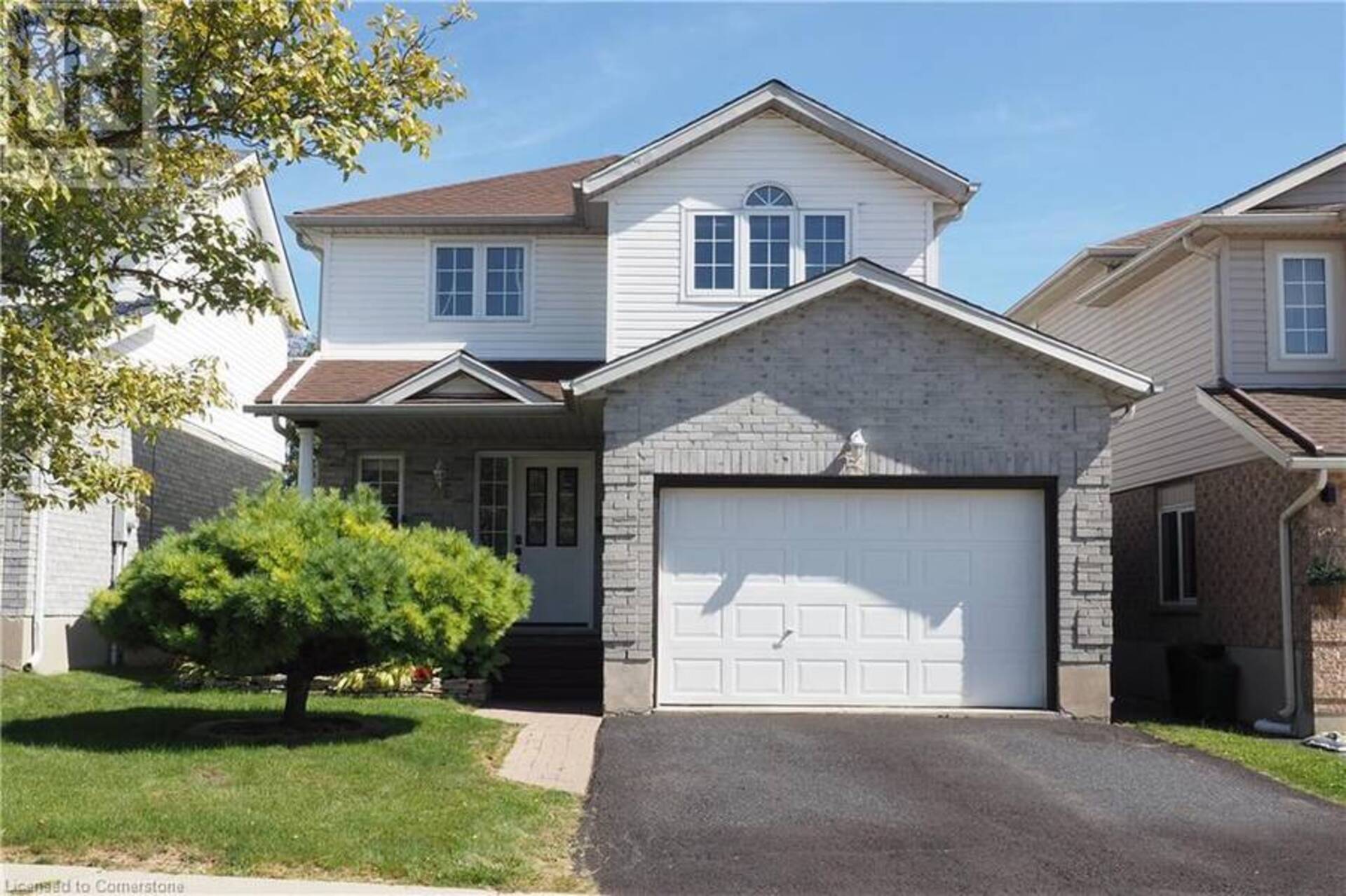 26 MOUNTAIN MINT Crescent Kitchener