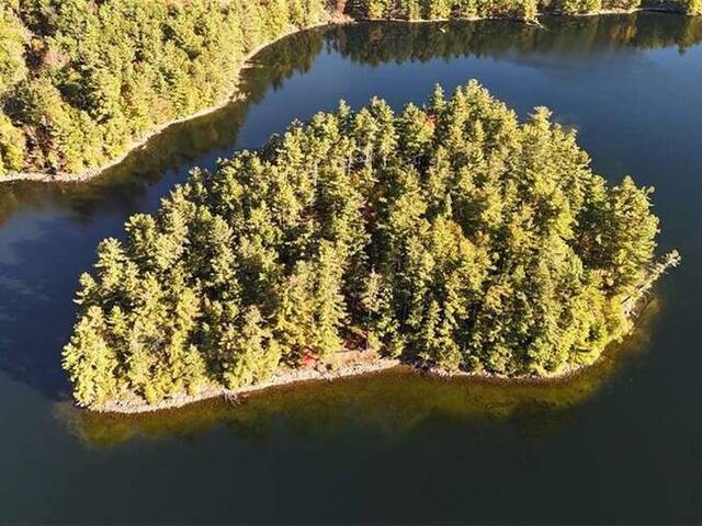 100 KILGORE Island Cloyne Ontario