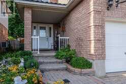 66 MOUNTAIN MINT Crescent Kitchener