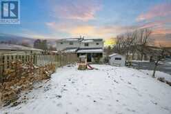 29 SELKIRK Drive Kitchener