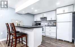 28 EAST 23RD Street Unit# Lower Hamilton