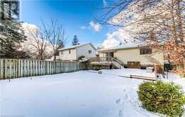 66 BRIDLE Trail Waterloo