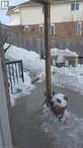 1010 COPPER LEAF Crescent Unit# Basement Kitchener