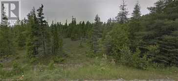 PT LOT 6 (2) WHISKEY HARBOUR Road Northern Bruce Peninsula