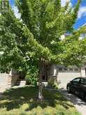 175 DAVID BERGEY Drive Unit# A6-Basement Kitchener