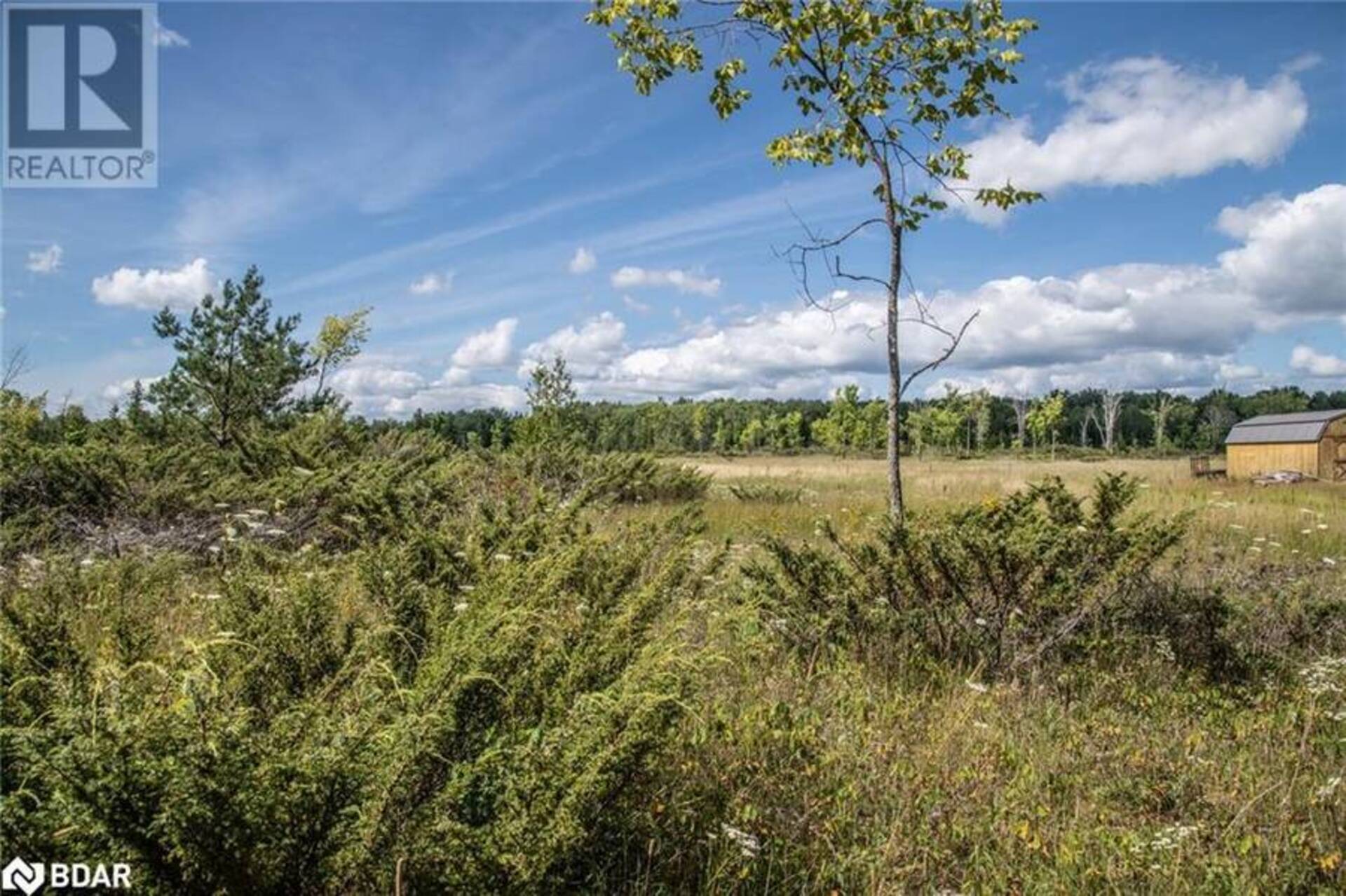 LOT 250 MCGUIRE BEACH Road Kawartha Lakes