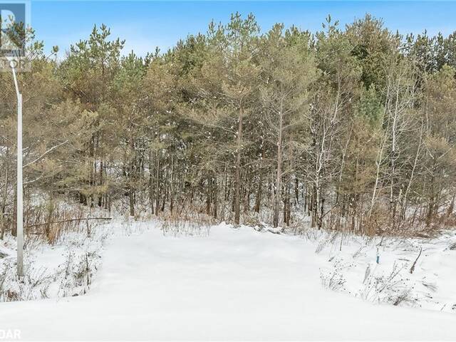 LOT 24 RUE ERIC Tiny Ontario