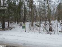 460 MUSQUASH Road Gravenhurst