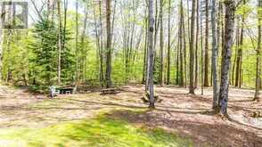 3711 BRUNEL Road Baysville