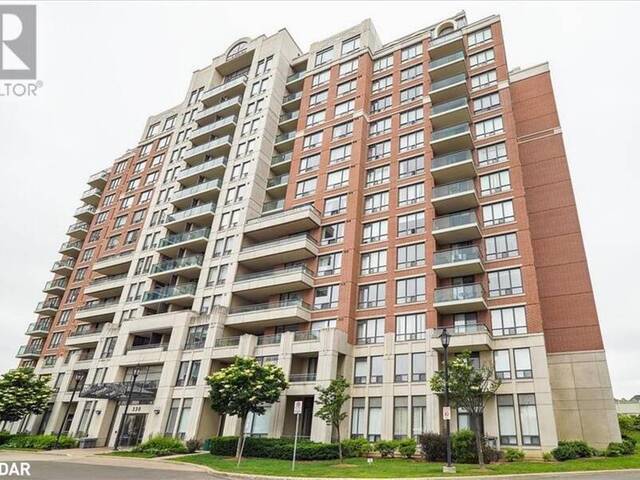 330 RED MAPLE Road Unit# 204 Richmond Hill Ontario