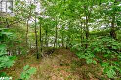 LOT 2 DELTA Road Washago