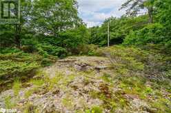 LOT 2 DELTA Road Washago