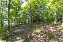 56 DAUNCY Road Magnetawan