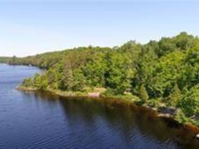 56 DAUNCY Road Magnetawan Ontario