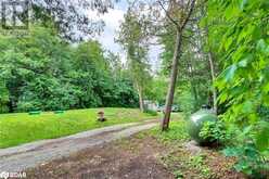 344 LOON Road Georgina Island