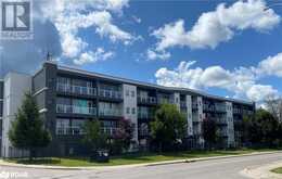 95 BARRIE Road Unit# 108 Orillia