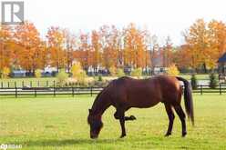 LOT 39 FRIESIAN Court Oro-Medonte