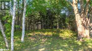 5450 11 Highway S Oro-Medonte