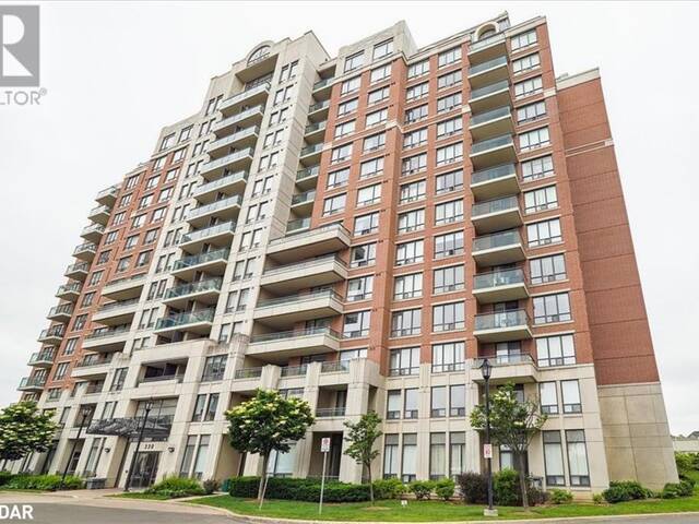 330 RED MAPLE Road Unit# 204 Richmond Hill Ontario