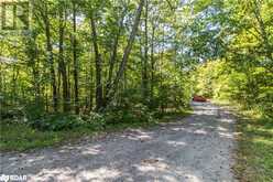 56 DAUNCY Road Magnetawan