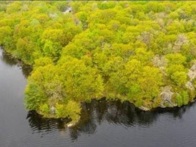 3600 NARROWS Road Unit# Lot 12 Port Severn Ontario