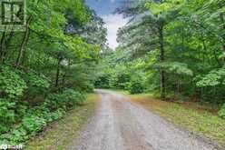 1241 BASS LAKE Sideroad E Oro-Medonte