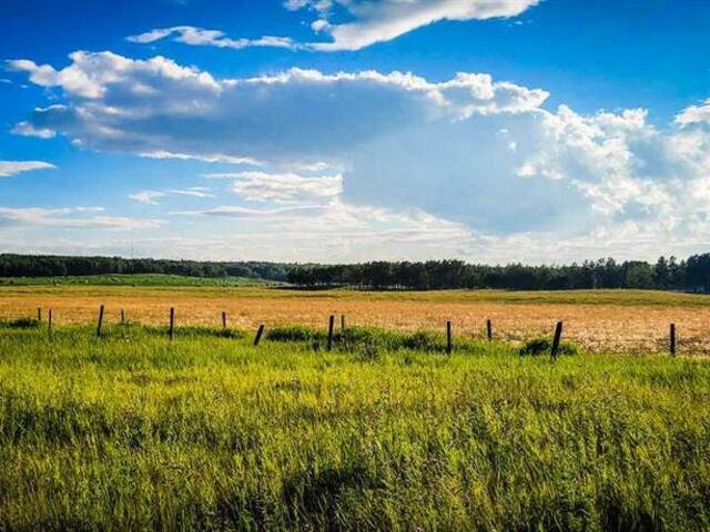 32103 Badger Road Rural Rocky View