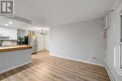 6591 THORNBERRY Unit# 365 Windsor