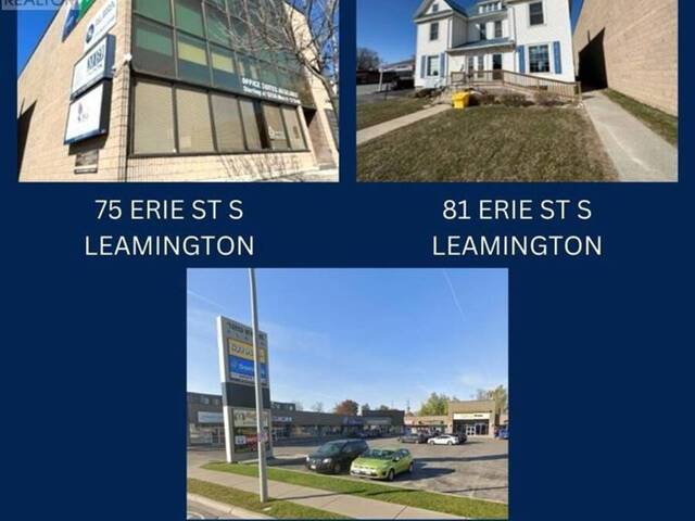 75-81 & 129 Erie STREET South Leamington