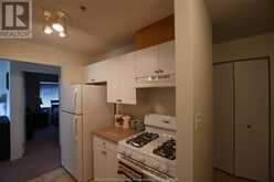 3160 WILDWOOD DRIVE Unit# 217 Windsor