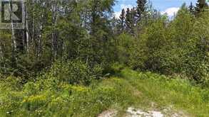 0 Hough Lake Road Temiskaming Shores