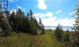 228 Leask Bay Shores LN Manitowaning