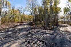 1528 Hwy 64 Unit# Lot #1 Alban