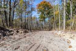 1528 Hwy 64 Unit# Lot #5 Alban