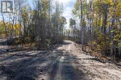 1528 Hwy 64 Unit# Lot #5 Alban