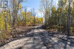 1528 Hwy 64 Unit# Lot #7 Alban