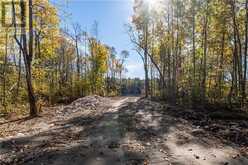 1528 Hwy 64 Unit# Lot #7 Alban