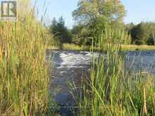 0 SALMON RIVER ROAD Napanee