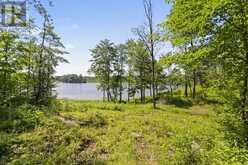 LOT 11 12, 0 THUNDER LANE Central Frontenac