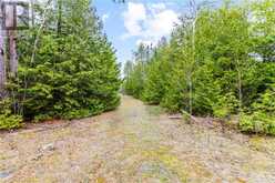 LOT 41 & 42 4 Concession Northern Bruce Peninsula