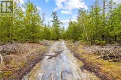 LOT 41 & 42 4 Concession Northern Bruce Peninsula