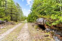 LOT 41 & 42 4 Concession Northern Bruce Peninsula