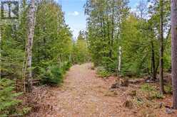 LOT 41 & 42 4 Concession Northern Bruce Peninsula